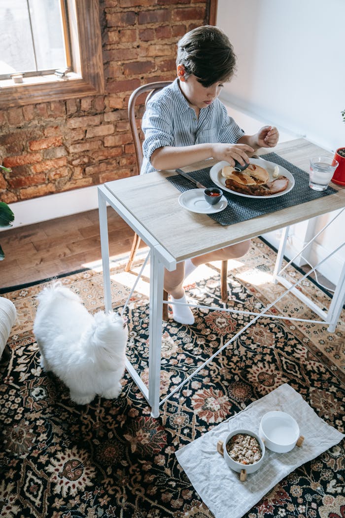 A young boy has breakfast at a table while a white dog waits by his side in a cozy room.